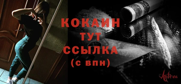 гидра Липки