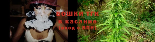 spice Дмитриев