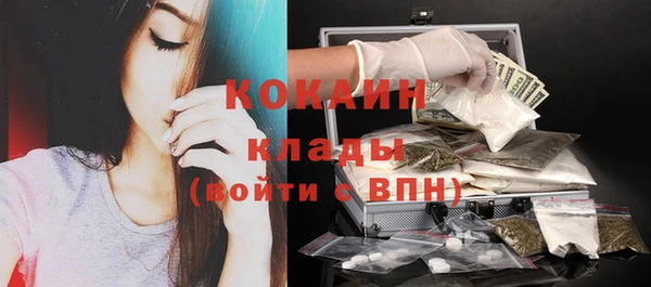 spice Дмитриев