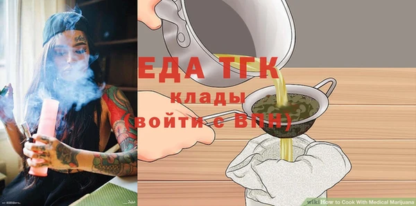 spice Дмитриев