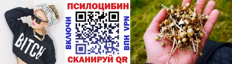 наркошоп  Камышлов  kraken ТОР  Галлюциногенные грибы Psilocybe 